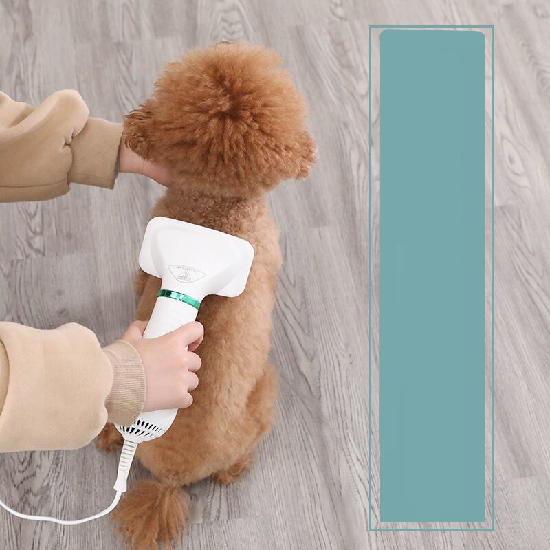 Föhn Föhn Voor Honden Föhn Hond Grooming Föhn Voor Huisdier Droger Föhn Grooming Voor honden Hond Droger