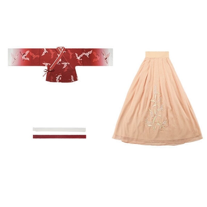 Hanfu, vêtement chinois traditionnel ancien pour femme, Costume de danse folklorique, Performance sur scène, motif de grue, robe graduelle en gaze: S
