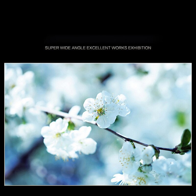 Phone Lens 0.45X Ultra Wide-Angle Macro Lens Phone External Camera For Apple Samsung Xiaomi