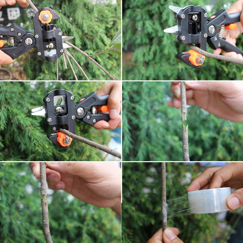 Garden Nursery Fruit Tree Grape Vine Pruner Shears Scissor Grafting Cutting Pruning Tools Set FQ-ing