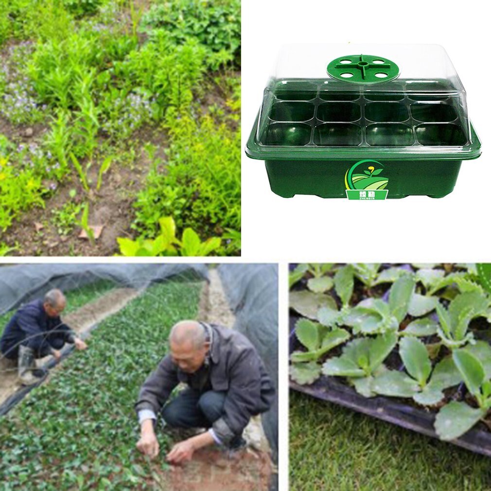 Insulation And Moisturizing Seedling Box Household Seedling Tray Plant Nursery Special Basin Rectangular Plant Planting Tray