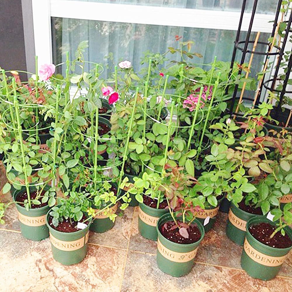 1 Pc Durable Climbing Vine Rack 45cm/60cm Plastic Coated Iron Plant Support Frame Garden Balcony Plant Flower Trellis