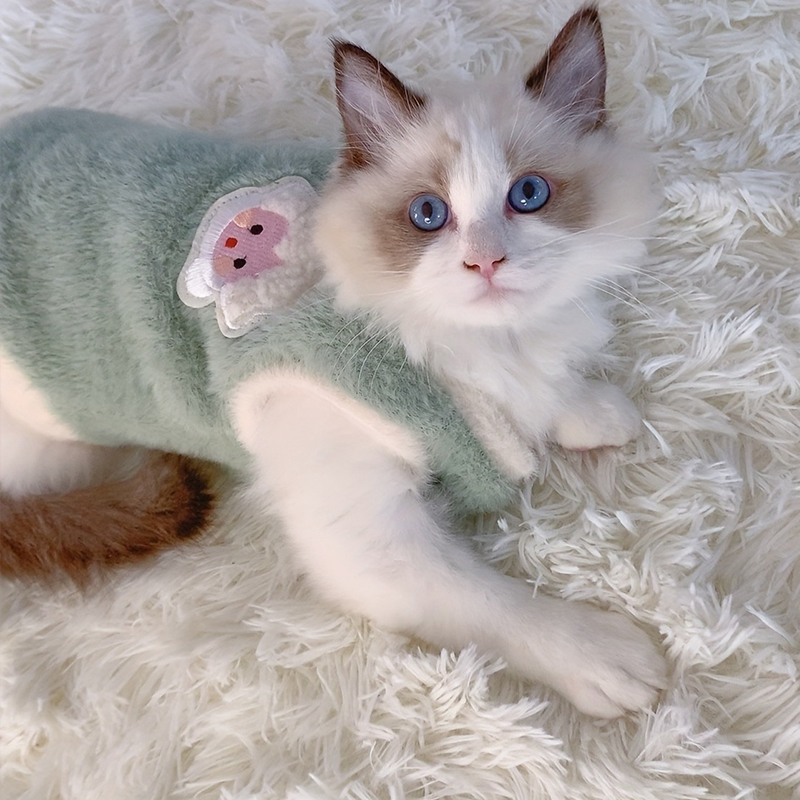 Katzen-Accessoires, warme Kätzchen-Kleidung für Haustiere für Höhle Winter, Kätzchen-Kleidung, kleine Kätzchen-Sachen, Kühlkleidung, zur Seite fahren-Westen für Hunde