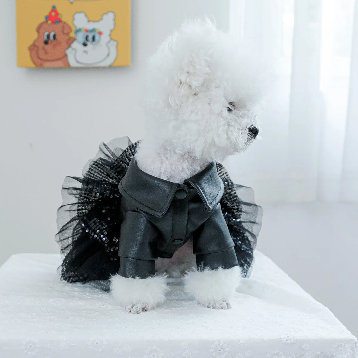Kæledyrslædertøj kjolefrakke kat mesh fluffy nederdel flot lædertøj pailletter lille lædernederdel hvalpetøj