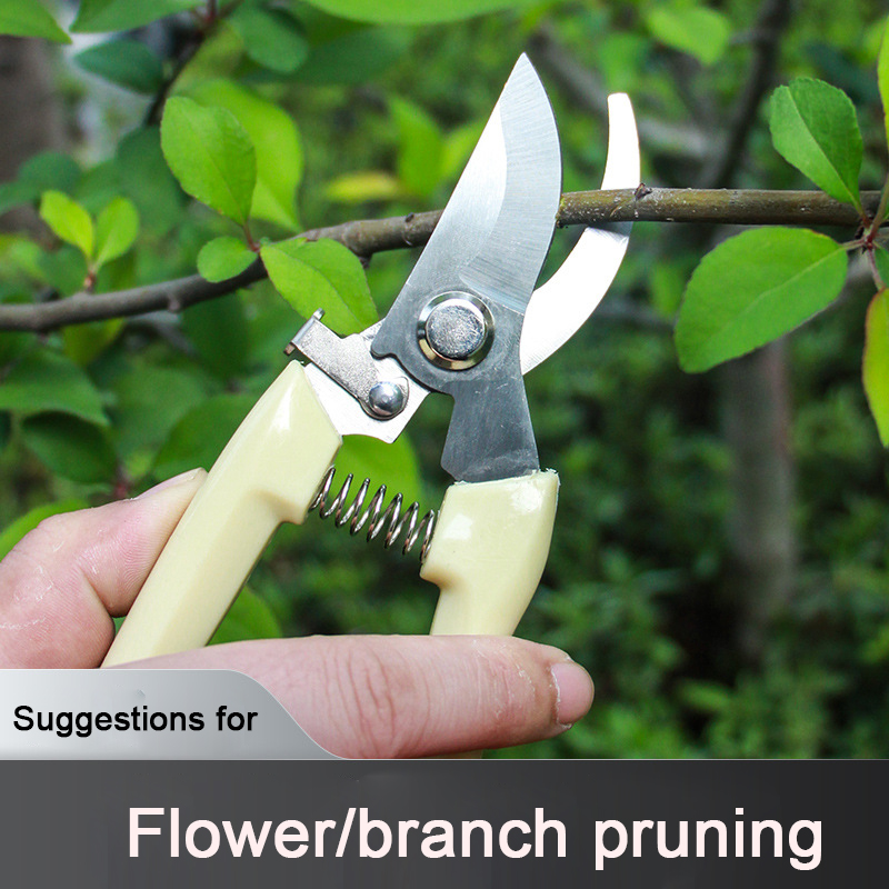 Multifunctional Garden Tools Orchard Garden Hand Tools Scissors Stainless Steel Labor-Saving Pruning Scissors: Bird beak