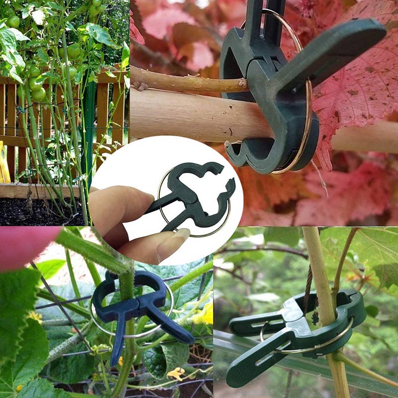 20Pcs Plant Support Clips Tomato Flower Vine Seedl... – Grandado