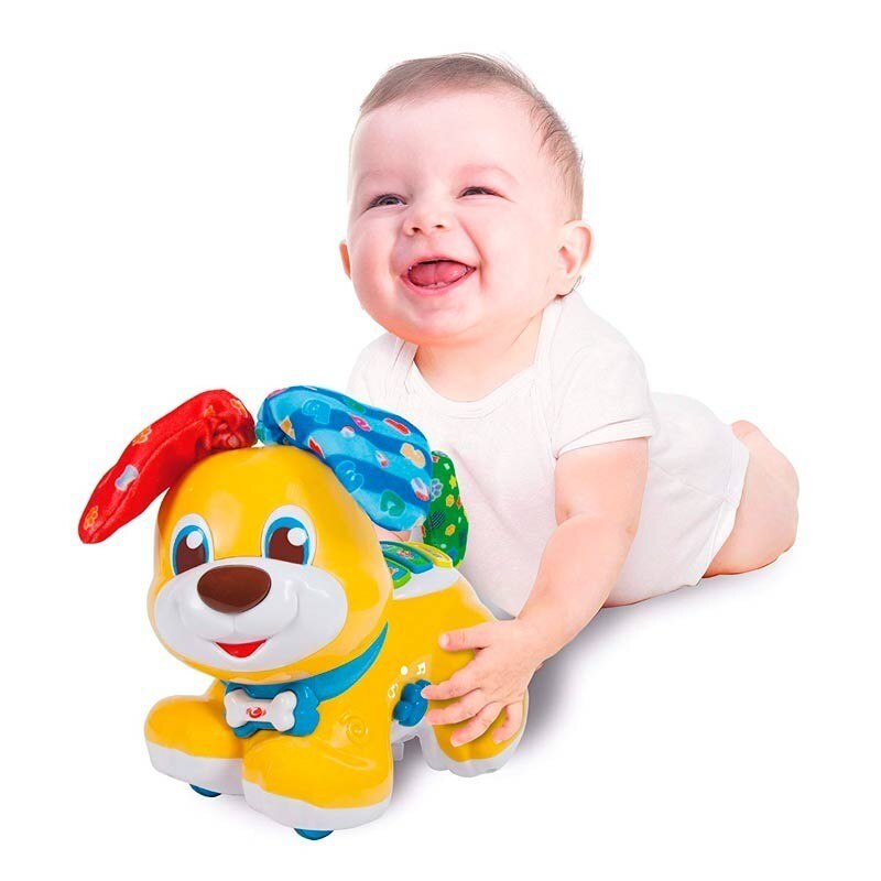 Perrito Cucu Tras