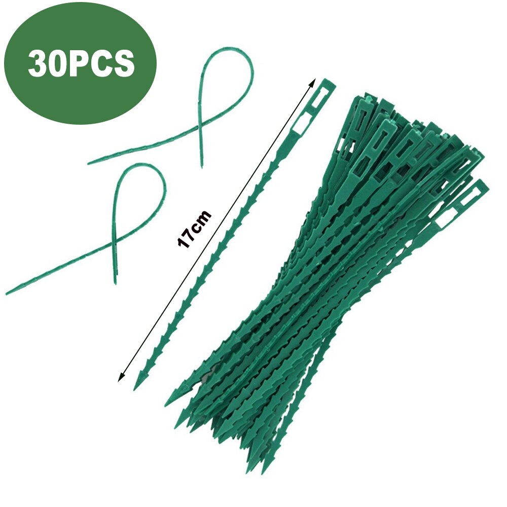 50/30PCS Plastic Plant Cable Ties Reusable Ties Garden Tree Climbing Growing Support Adjustable Fishbone Spur Tie Garden Tools: 17cm-30pcs