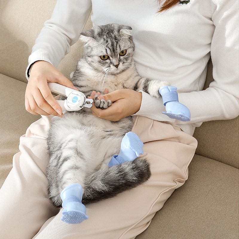 Buty dla psa kalosze dla psa antypoślizgowe wodoodporne kalosze dla kota na zewnątrz obuwie skarpety szczeniak trampki artykuły dla zwierząt