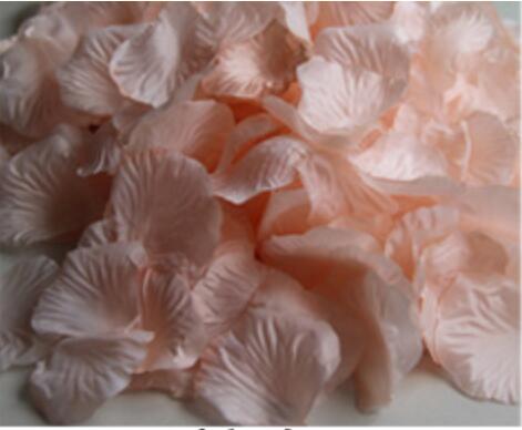 5000 stk / parti 5*5cm silke rosenblade til bryllup dekoration, romantiske kunstige rosenblade bryllup blomst rose blomst: Champagne