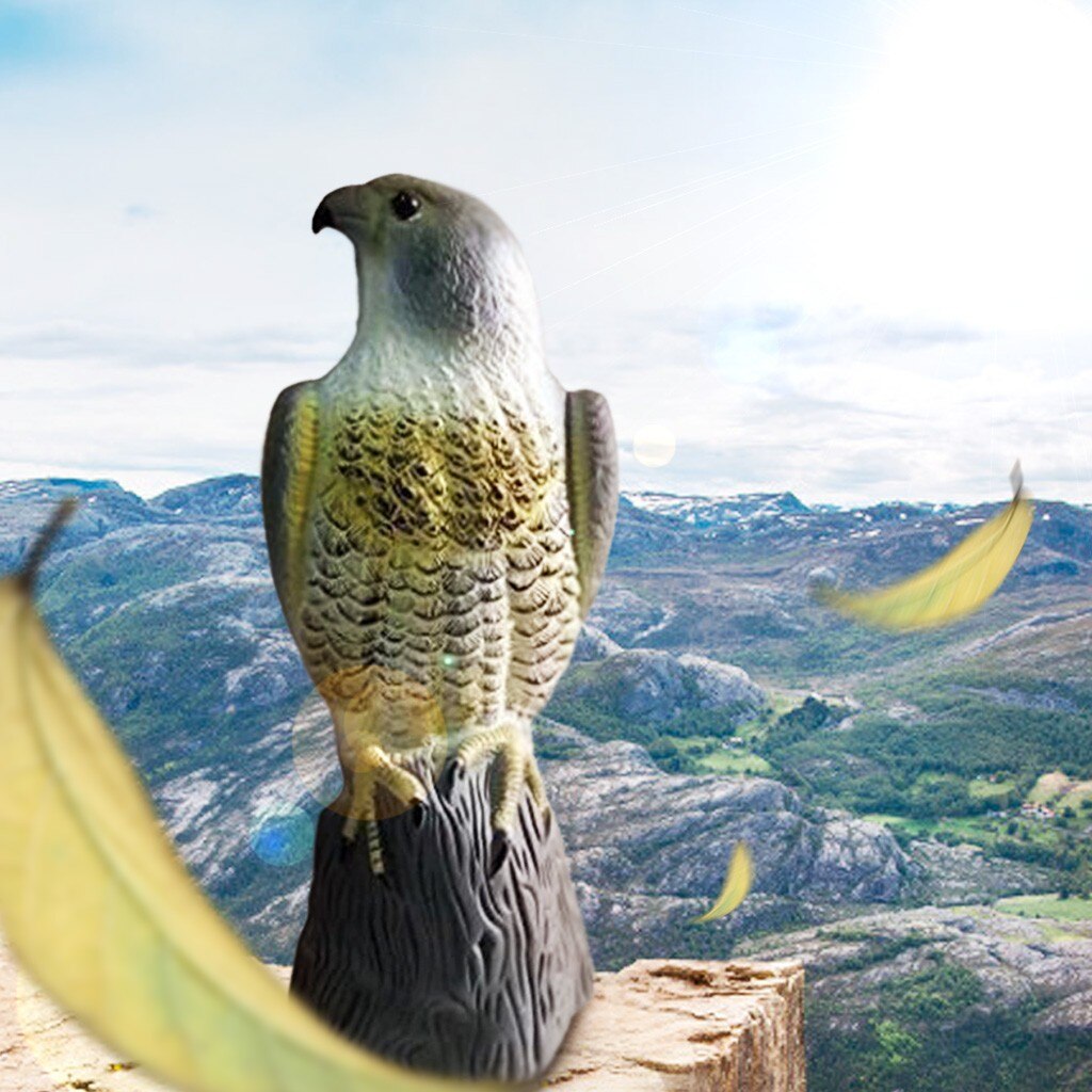 Falcon Life-Like Bird of Prey Deters Bird and Animal Pests such as Pigeons from Garden Areas Simulation decoration