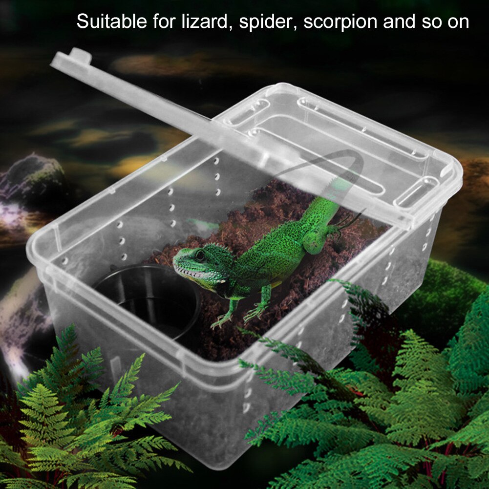 1Pcs Herbruikbare Plastic Voeden Container Wordt Geleverd Met De Air Gaten Geschikt Voor Lizard Spider Schorpioen En Andere Reptiel Dieren