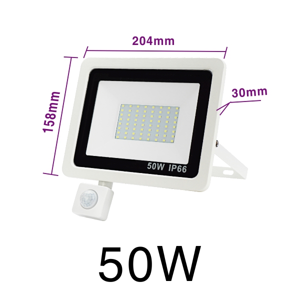 LED PIR Motion Sensor Floodlight AC220V Cold White Indoor Outdoor Spotlight IP66 Waterproof Courtyard Footpath Sensing Lighting: 50W Cold White