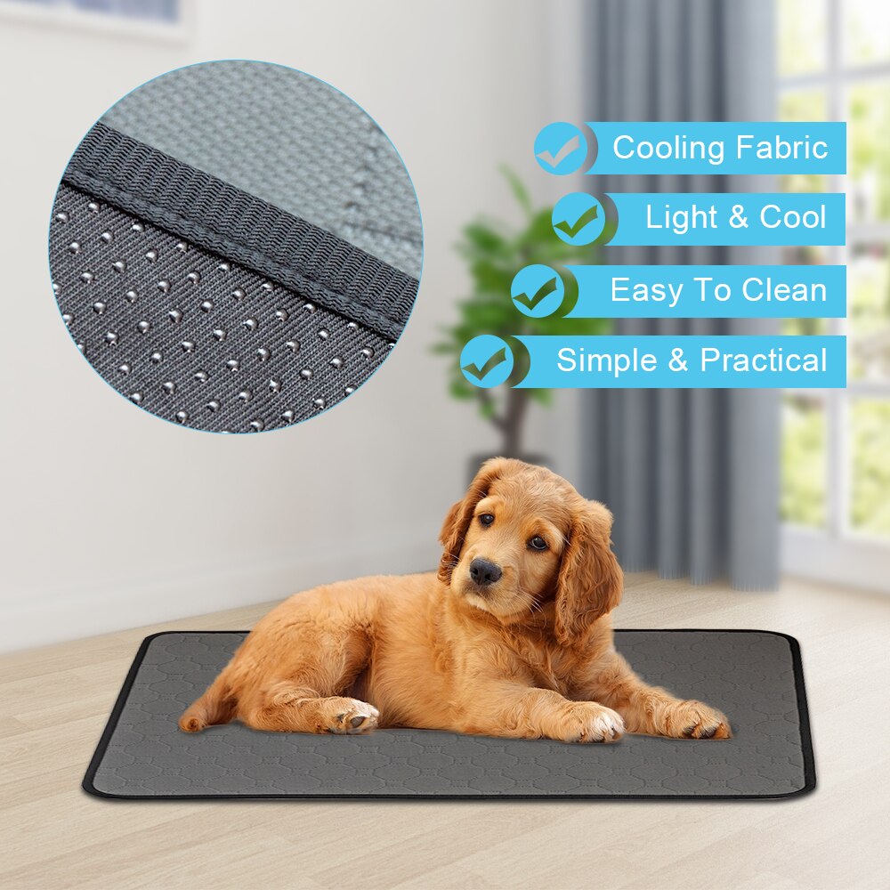 S/M/L/XL/XXL imperméable chien pipi Pad respirant animal de compagnie coussin de couchage absorbant réutilisable chien de compagnie été tapis de refroidissement