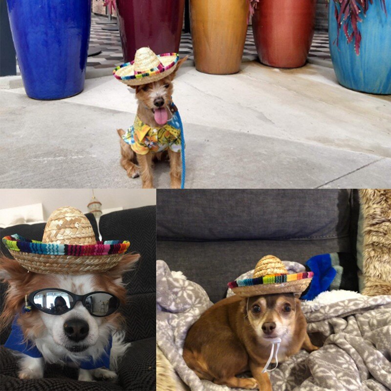 Sombrero mejicano de paja con hebilla ajustable para mascotas, Sombrero tejido de paja para perros, traje ajustable