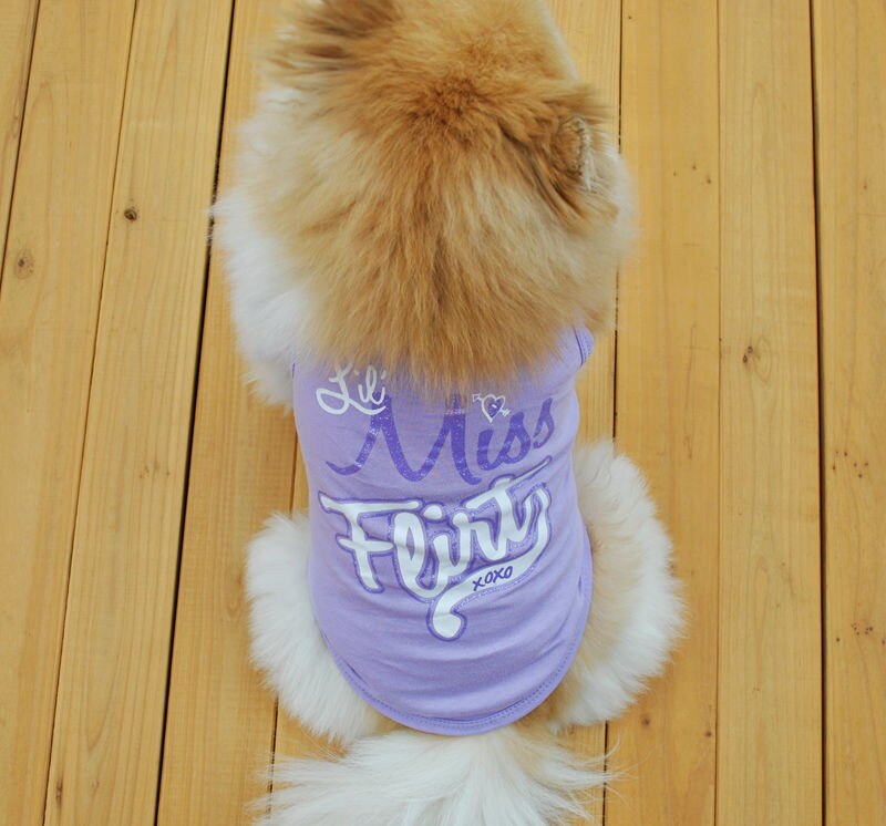 Kæledyr hund kat sød prinsesse t-shirt tøj vest sommerfrakke puggy kostumer hundeskjorte