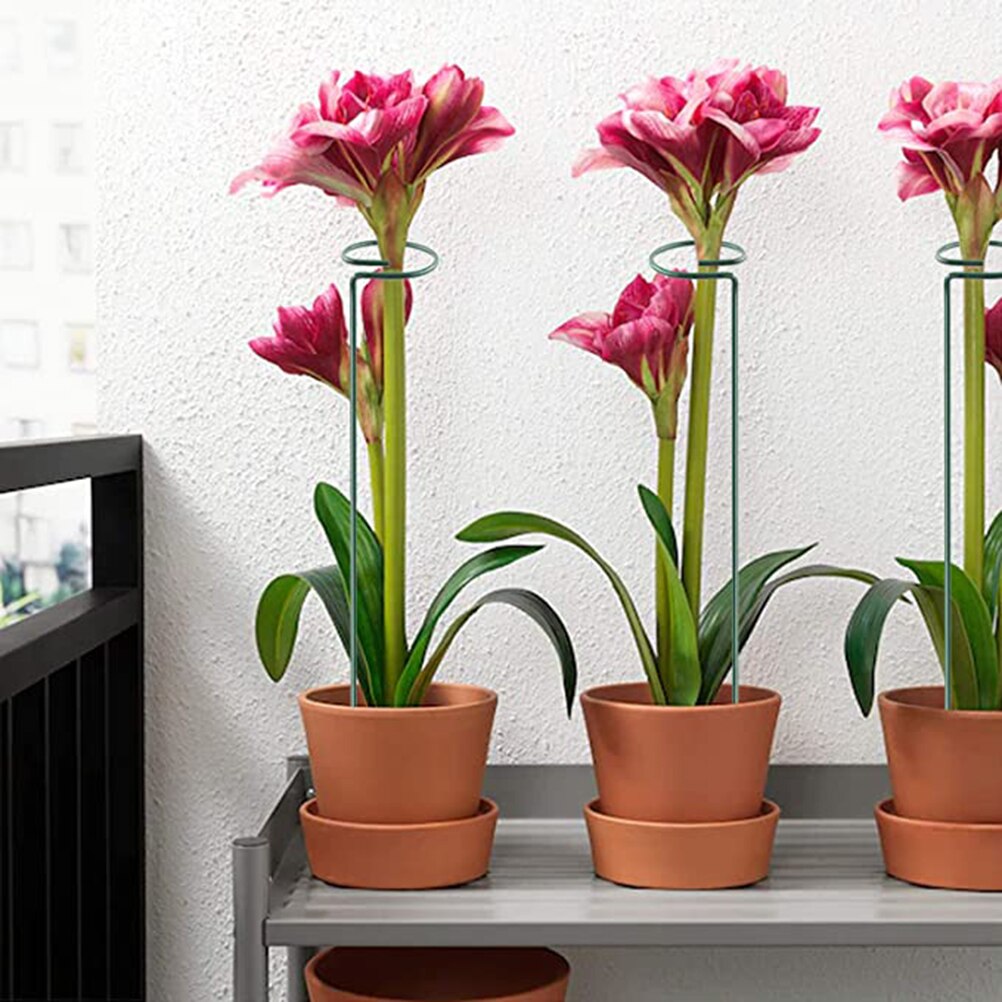 5pcs/Lot Plant Support Stakes Garden Single Stem Support Stake Plant Cage Support Rings For Amaryllis Tomatoes Orchid Lily Peony