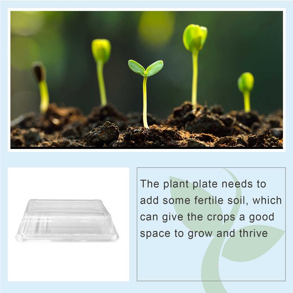 Transparante Cover Voor Plant Zaden Herbruikbare Zaad Plant Kas Doos Zaailing Kwekerij Pot Plant Protection Cover