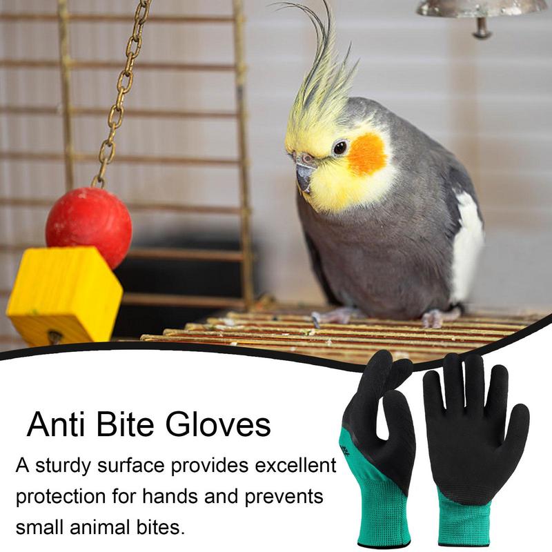 ﻿ Anti-bijthandschoenen Dierbenodigdheden Hamster Anti-bijthandschoenen Multifunctionele trainingshandschoenen voor huisdieren Verdikte anti-kras Dierbenodigdheden
