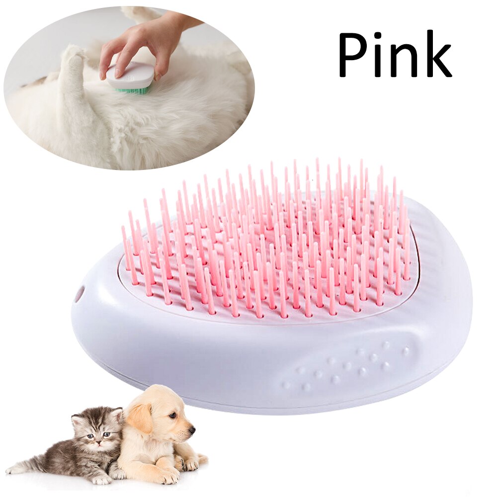 How to Groom a Short-Haired Cat: Essential Tips for a Healthy Coat