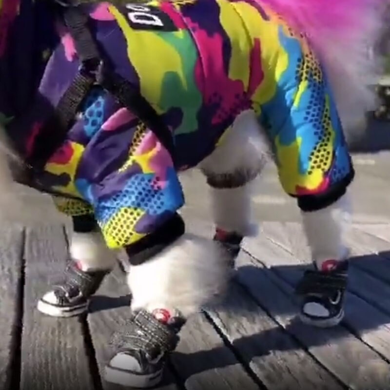 4 Stks/set Hond Schoenen Pet Dog Antislip Canvas Boot Chihuahua Puppy Kat Denim Blauw Sneakers Voor Kleine Grote honden Schoenen Dierbenodigdheden