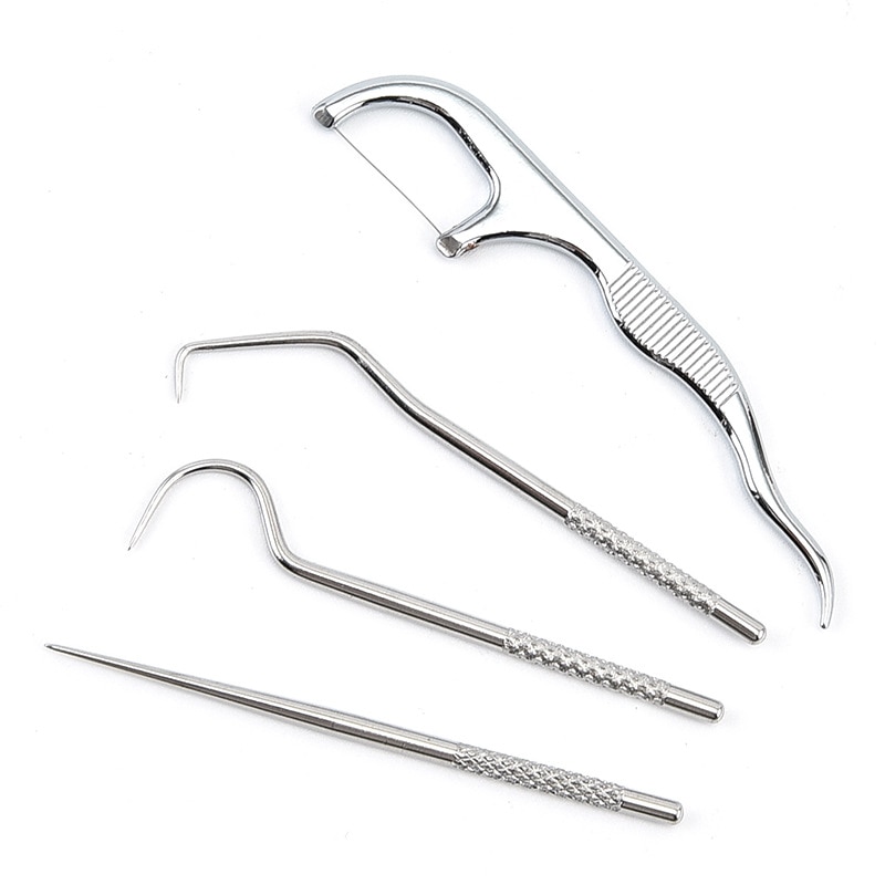 4pcs Portable Stainless Steel Toothpick Set with Bag Reusable Metal Toothpicks With Holders For Outdoor Picnics And Camping Tool