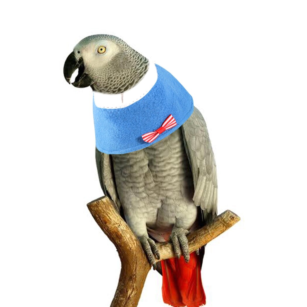 Vogel Herstel Kraag Zachte Verstelbare Papegaai Kraag Elizabethaanse Hals Kraag Voor Kaketoe Liefde Vogel Dierbenodigdheden