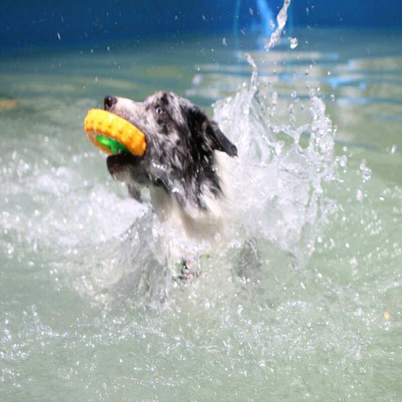 Pet Training Ball Toys Dog Water Floating Training Toys Throwing Flying Disc Interactive Toy For Small Medium And Large Dogs 2