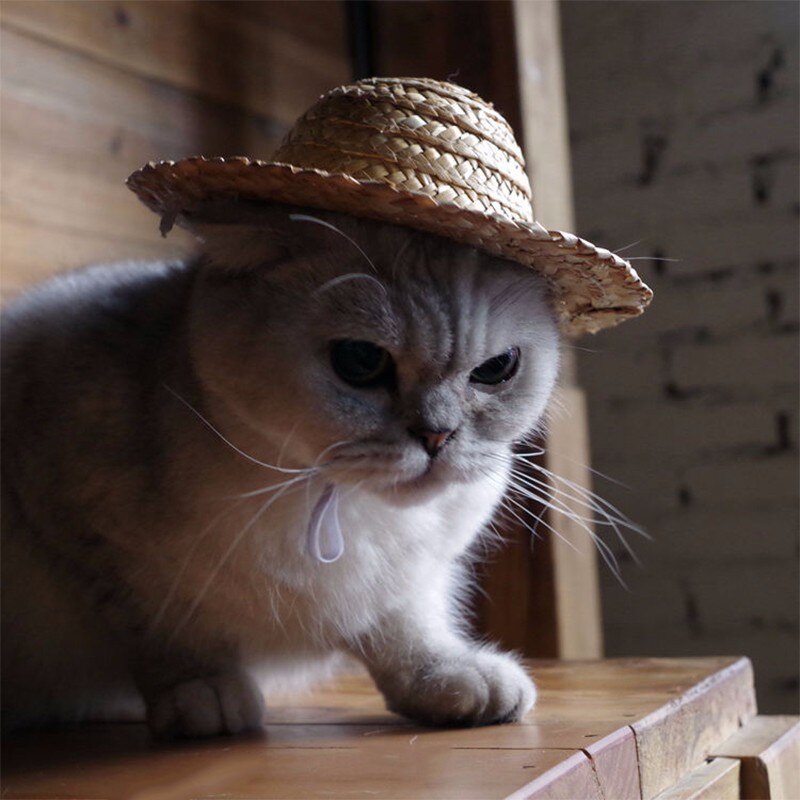 1 ud. sombrero de Sol de Mascota de hecho a mano Tejido estilo Hawaii ajustable mascotas perro cachorro gorras lindo sombrero de paja para mascotas accesorios S/M y M/l