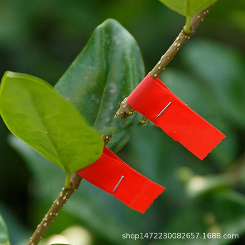 Cinta Roja de atado de jardín, tiras de árbol, película para secar ramas de injerto, estaca, cinturón de unión de jardinería, cinta adhesiva de PVC, 5 rollos