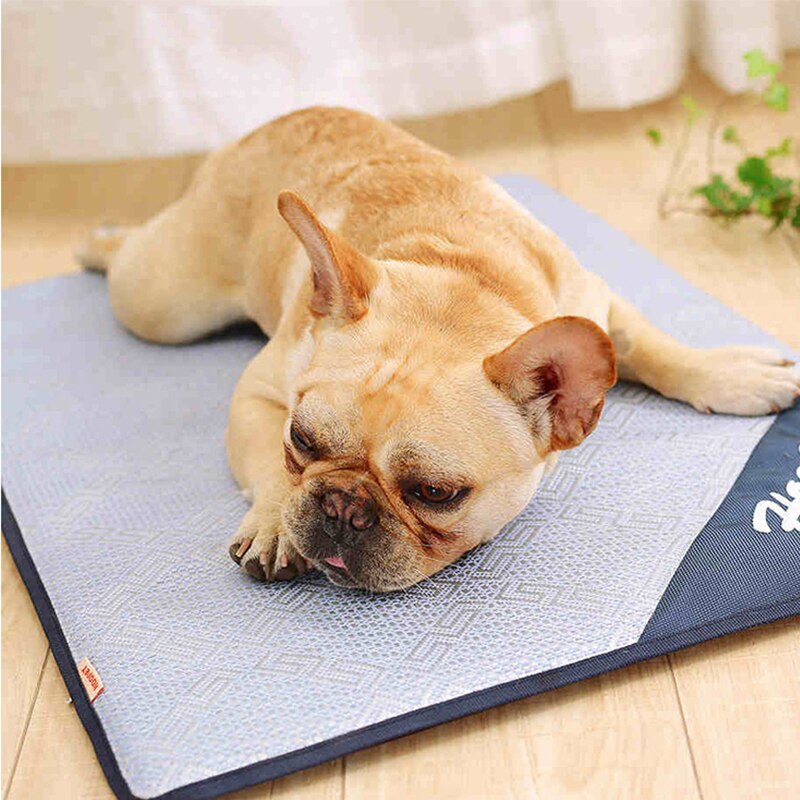 Hoopet Huisdier Zomer Koelmat Hond Zomer Bed Kat Mat Mascotas Cama Perro Sofa Voor Honden Huis