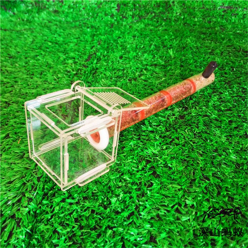 Test Tube Vocht Grote Ruimte Mier Nest, Ant Farm Acryl, Insect Mieren Villa Huis Mieren Ecologische Workshop: Ant Farm 1