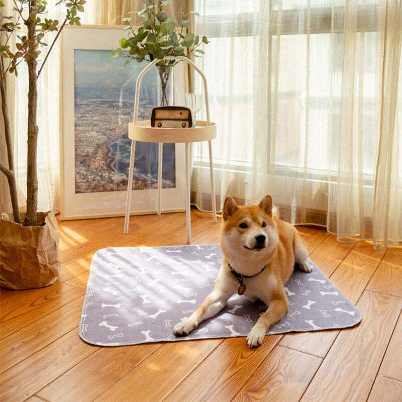 Tapis imperméable lavable pour animaux de compagnie, couche lavable pour chien, réutilisable, tampon d'urine pour animaux de compagnie, tampons absorbants rapides pour le sommeil, doux, couverture de lit