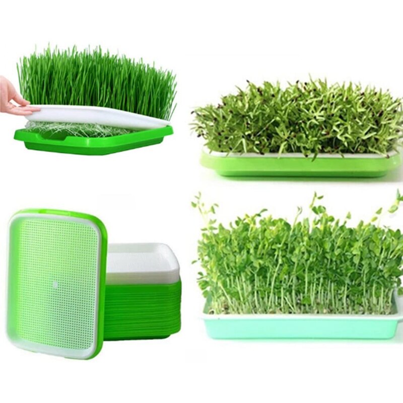 6Pcs Seed Sprouter Trays Seed Germination Tray Hydroponics Gg Kits