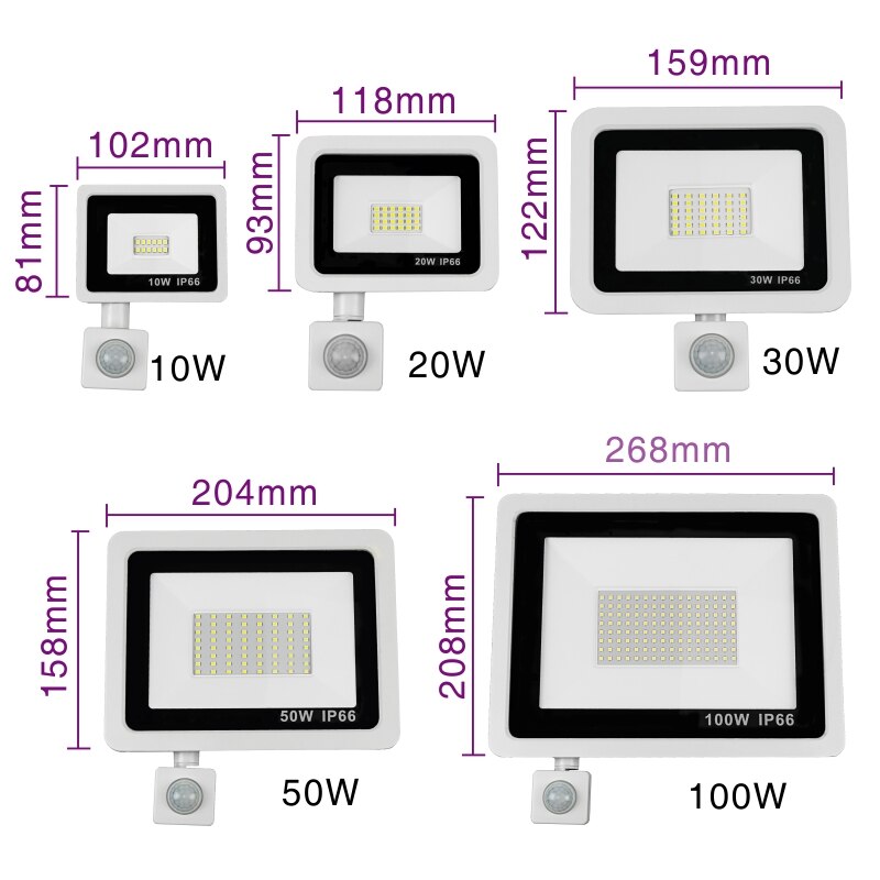 LED PIR Motion Sensor Floodlight AC220V Cold White Indoor Outdoor Spotlight IP66 Waterproof Courtyard Footpath Sensing Lighting
