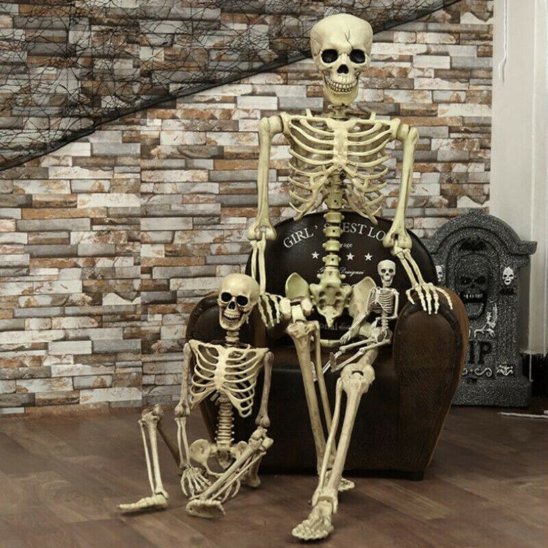 40cm halloween fuldt menneskeligt skelet kranium hjemsøgt hus joke prop dekoration kranium krop hjemsøgt hus joke prop dekoration