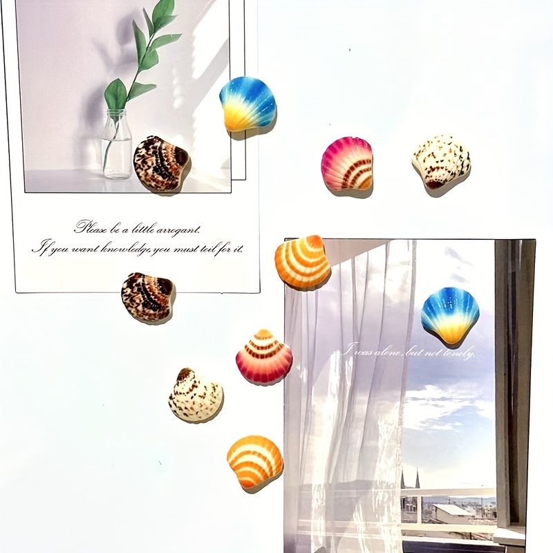 5 stuks, schattige schelp koelkastmagneten, kust schelp koelkastmagneten, sterke decoratieve magnetische stickers voor keuken