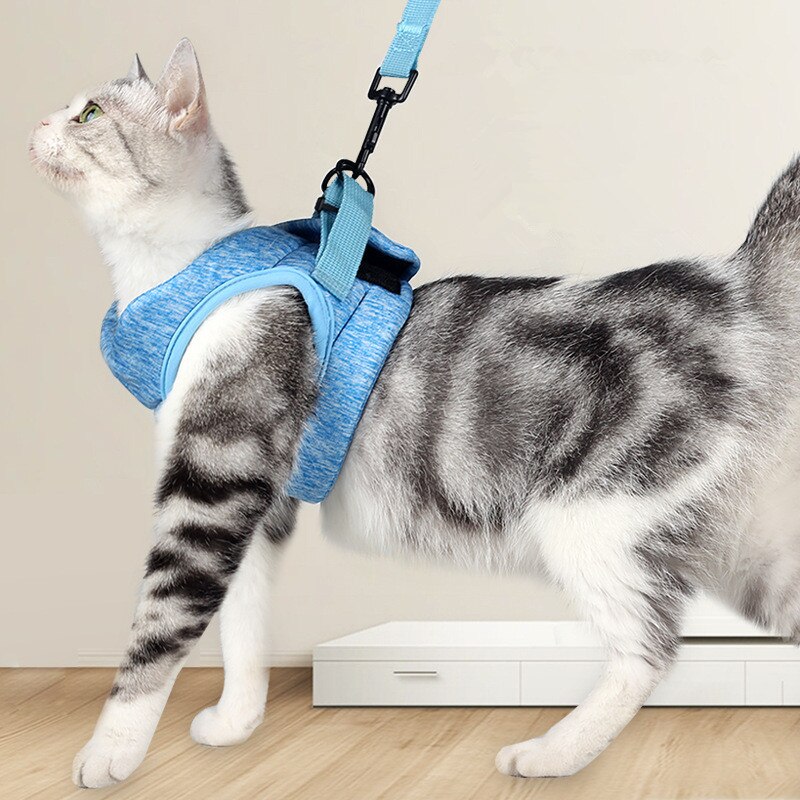 Verstelbare Kat Hond Harness Leash Set Pet Anti-Escape Harnassen Zacht Ademend Vest Voor Kat Outdoor Wandelen Borstband levert