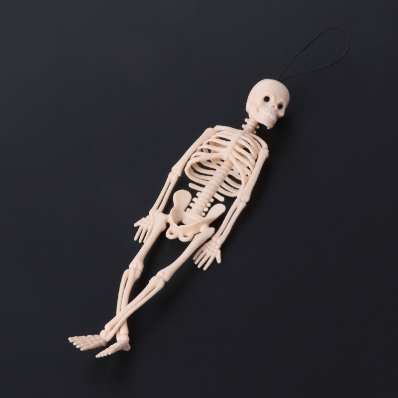 Skeleton Human Model Skull Full Body Mini Figure Toy Phone Hanger Halloween