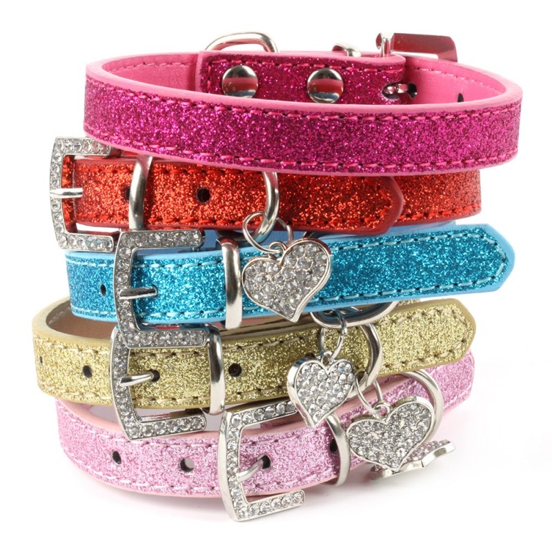 Hondenhalsband en riem van paracord