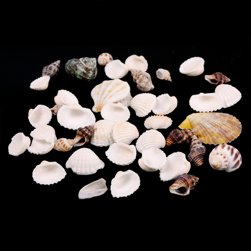 Mooie Ca. 100G Strand Gemengde Schelpen Mix Schelpen Shell Ambachtelijke Schelpen Aquarium #67179