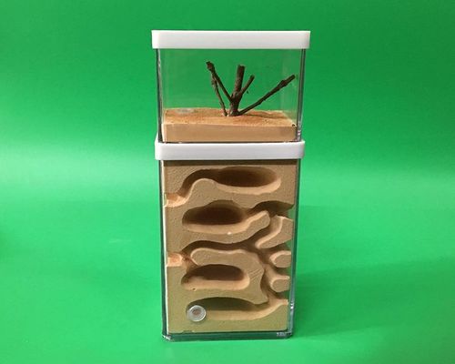 Fourmilière en plâtre avec zone d&#39;alimentation WY707, ferme à fourmis naturelle, grand nid , château d&#39;insectes, atelier pour animaux de compagnie, fourmilière: Default Title