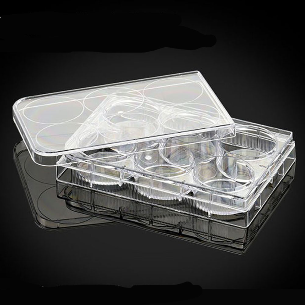 1pc 6 well Tissue culturetreated Cell Culture Plat... – Grandado