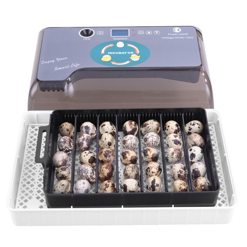 US/AU/ue/BG Plug 12 oeufs automatique ferme couvoir incubateur volaille poulet couveuse Machine nouvelle incubateur couveuse Machine