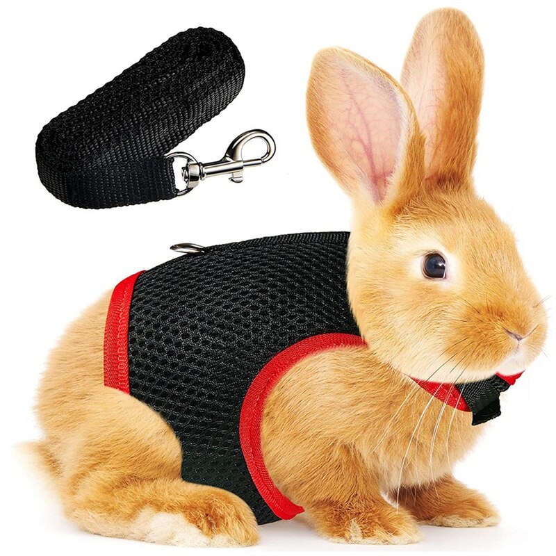 Kaninchengeschirr, weiches geschirr für kaninchen, netz-kaninchengeschirr, hamsterweste mit elastischer leine (l): Pflaume