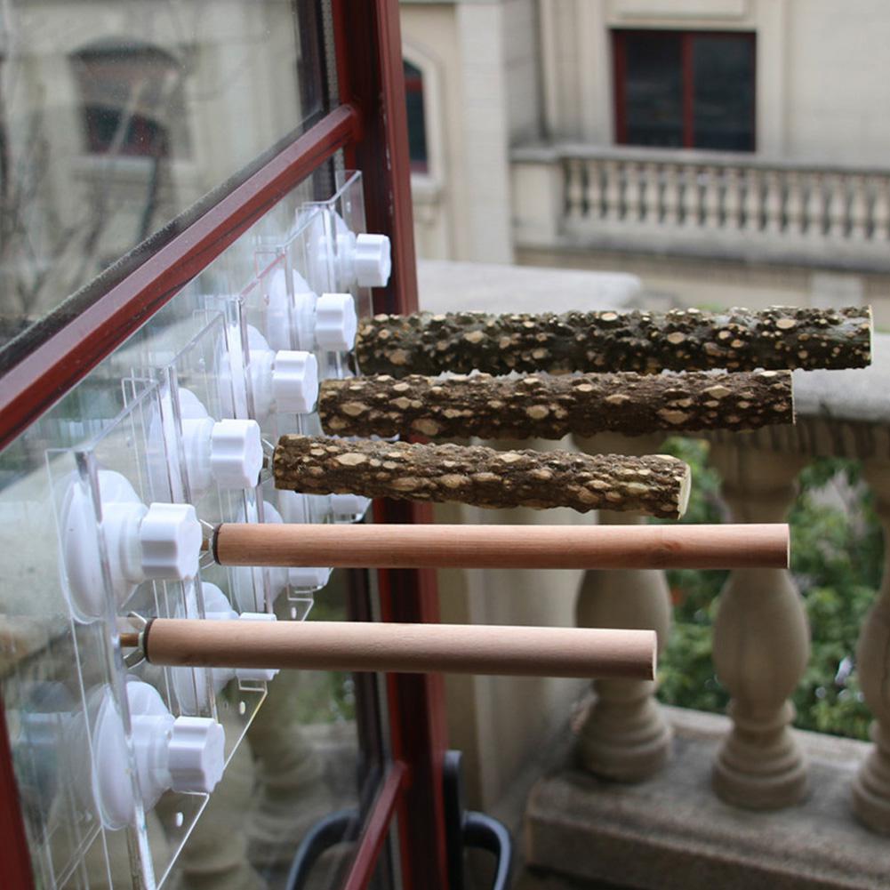 Palo de madera de pie para aves y loros, ventosa, barra de ducha, juguete de baño, suministro para mascotas