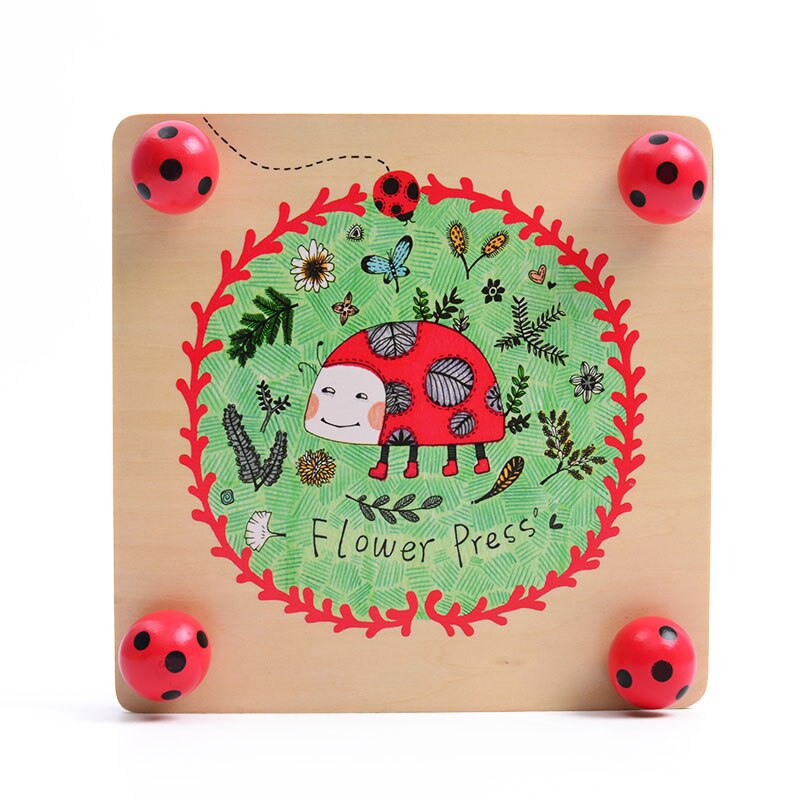 MD0071 MiDeer Kid Flower and Leaf Press Nature Craft Happy Time Wooden Art Outdoor Play Learning Educational Toy for kid