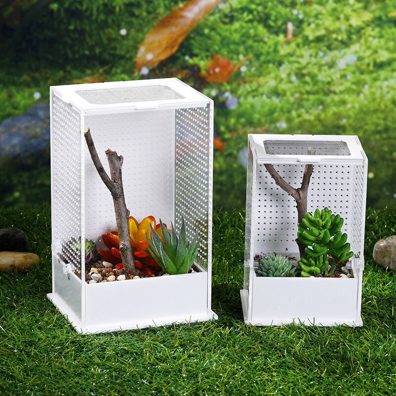 Akryl krybdyr fodring kasse gennemsigtig insekt boks mantis avl boks insekt krybdyr bur terrarium fodring kasse