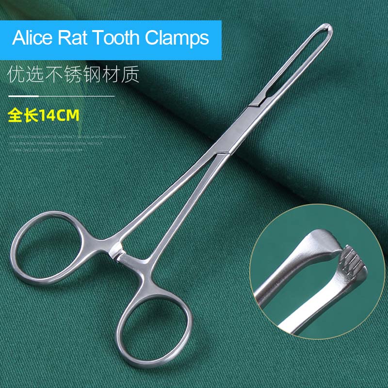 Pinzas para dientes de Alice Rat, instrumentos quirúrgicos ortopédicos para mascotas, pinzas para tejidos, pinzas cervicales, pinzas uterinas: BLACK & RED