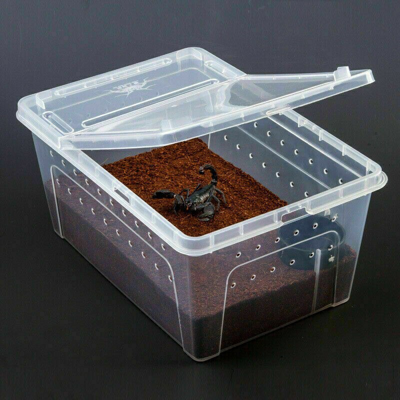 Large Reptiles Feeding Box Plastic Container Insect Pet Terrarium Transport Breeding Live Food Case with Bowl Reptile Supplies
